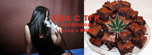 индика Алексин