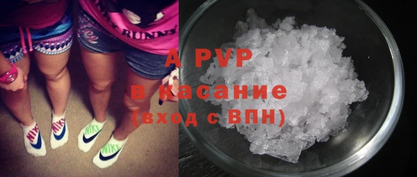 индика Алексин