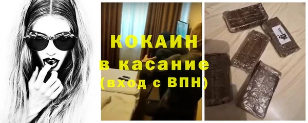 индика Алексин