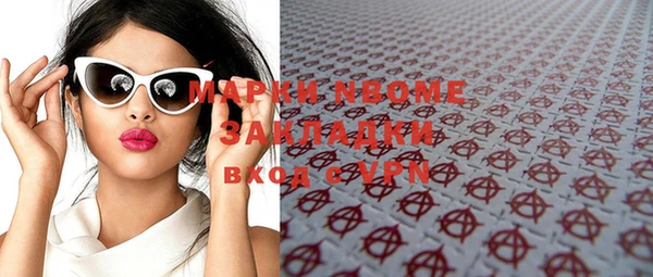 индика Алексин