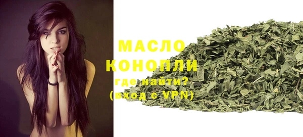стаф Инта